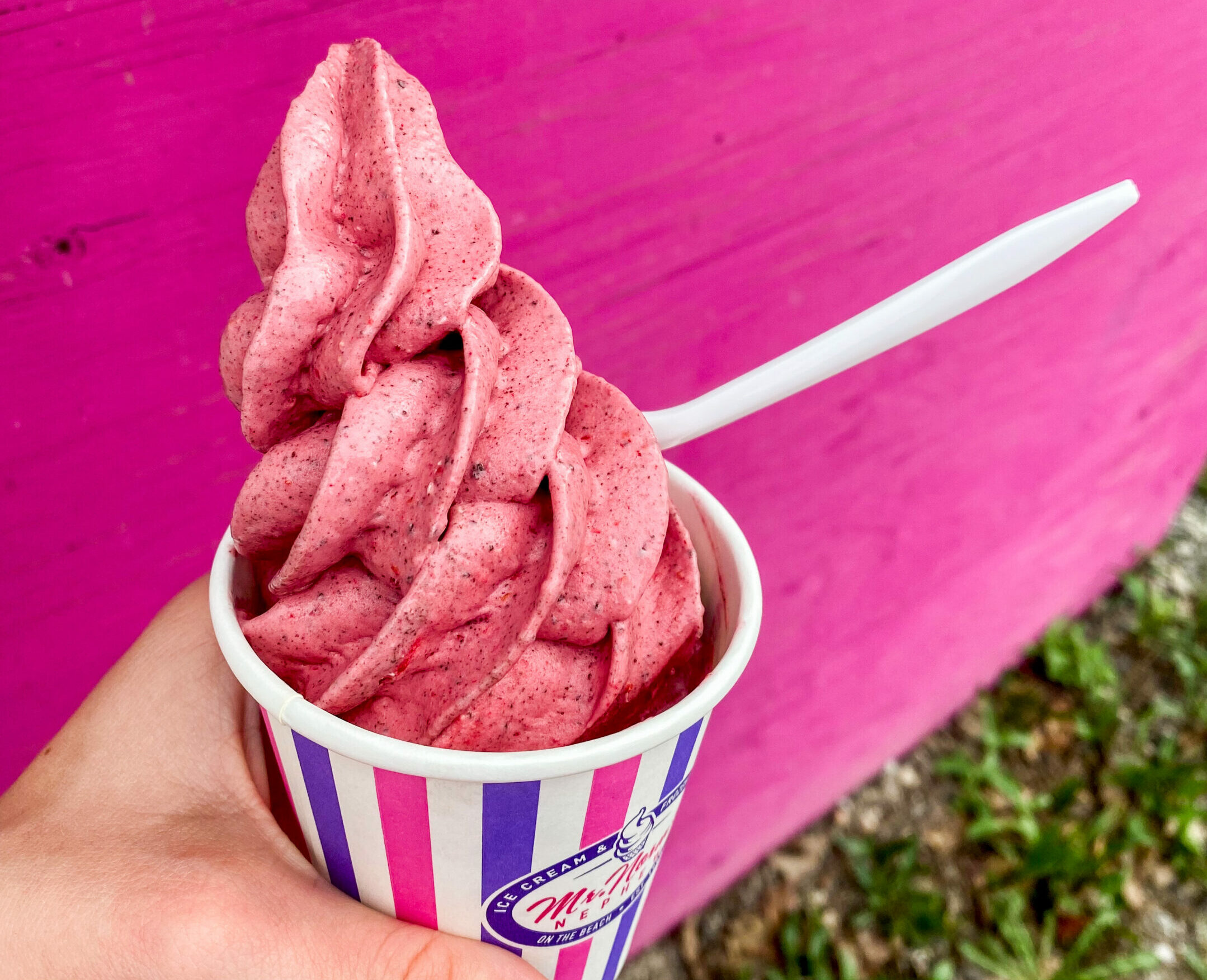 wasaga beach local flavour ice cream