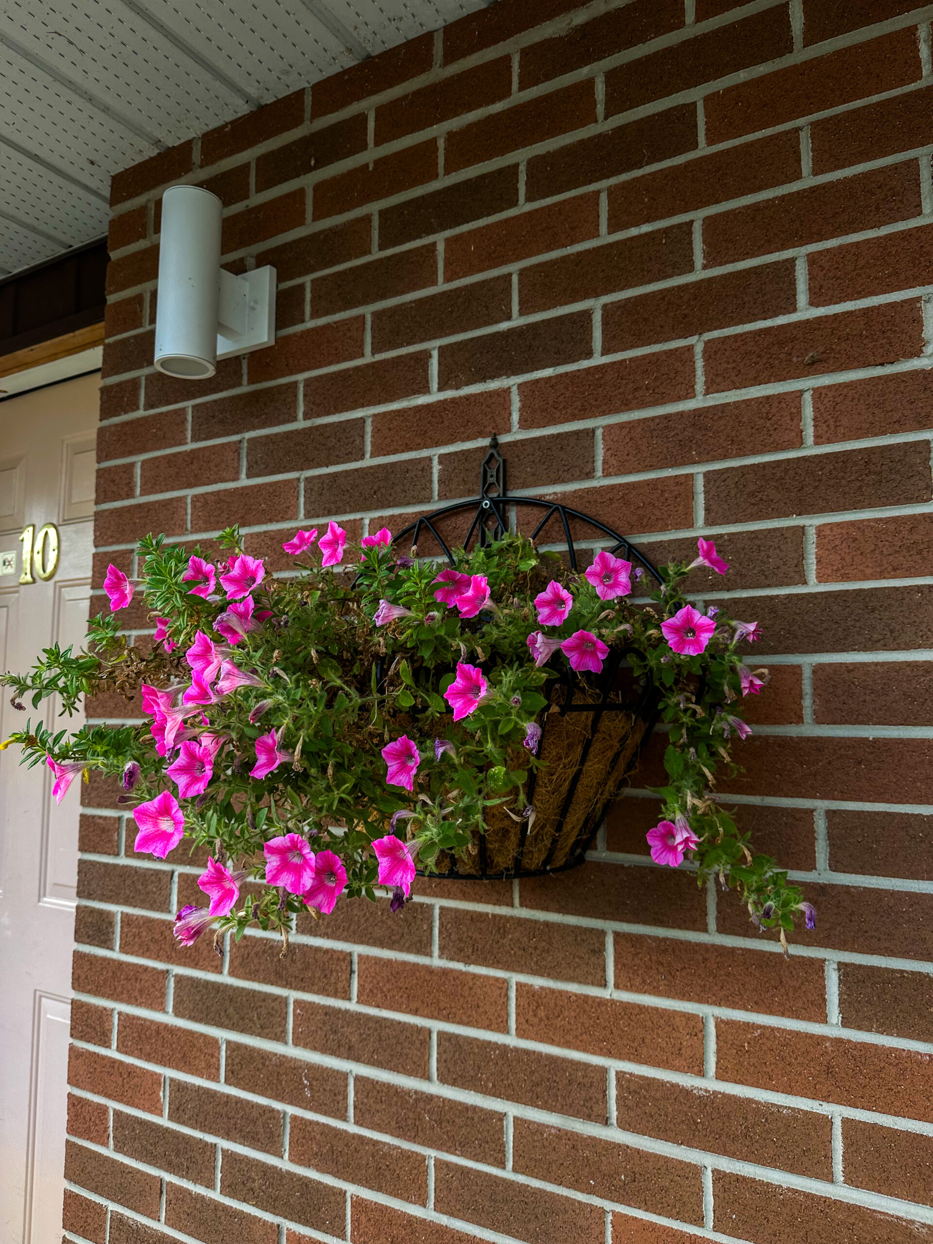Wasaga beach motel decorated with flowers